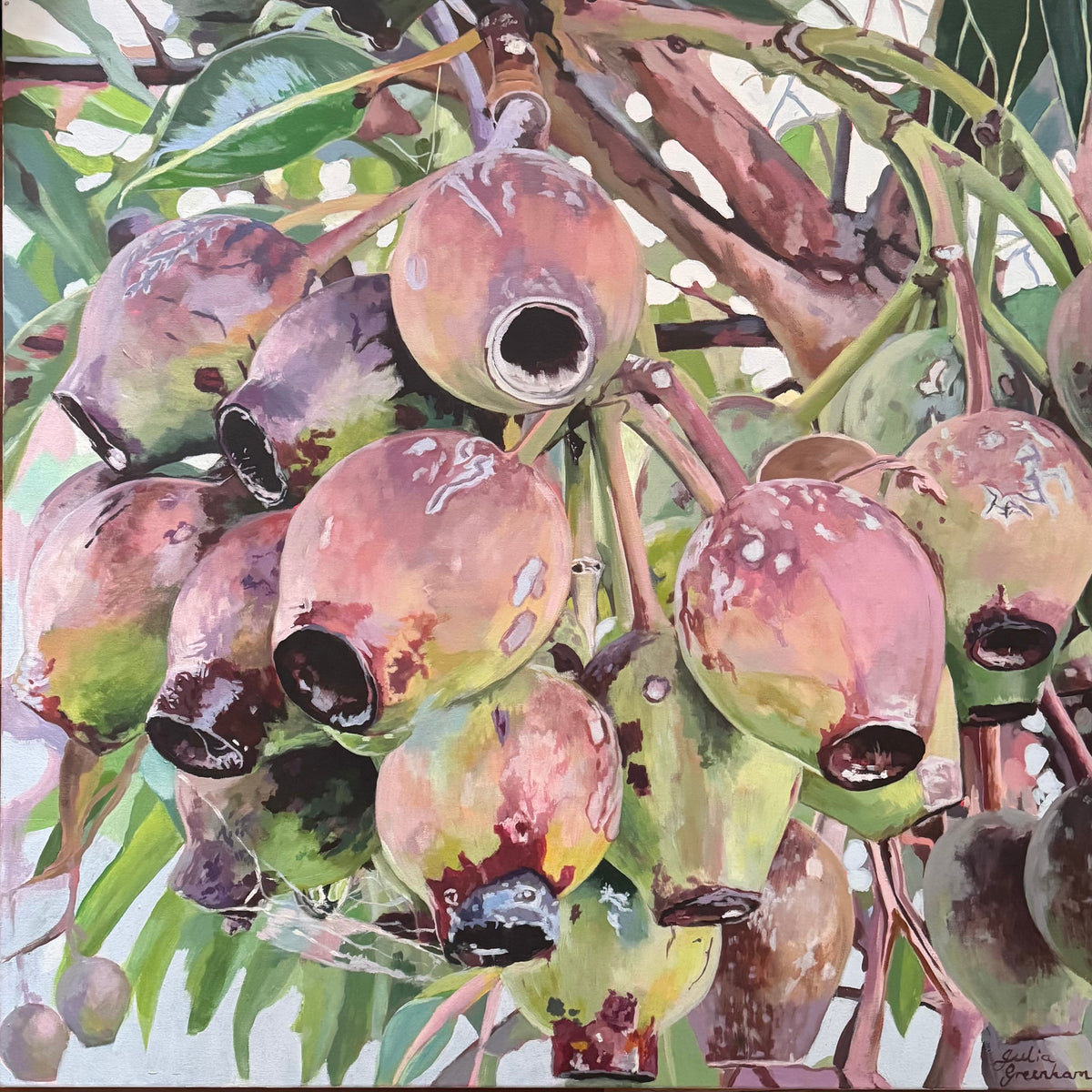 A painting of gum nuts done in acrylic on canvas by artist Julia Greenham 91 cm x 91cm, signed, wire on the back thick 4 cm edges

